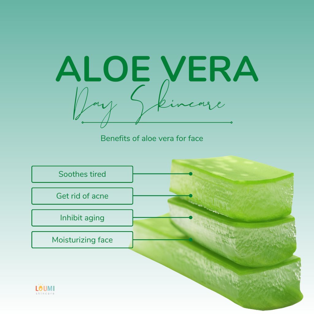 Make Your Own Aloe Vera Coconut Oil Face Cream