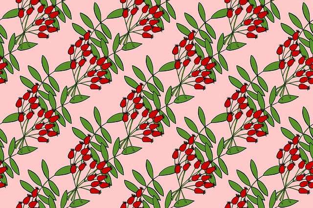 Benefits of Rose Hips