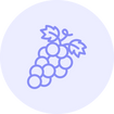 Vitis Vinifera (Grape Seed) Oil