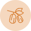 Simmondsia Chinensis (Jojoba) Oil